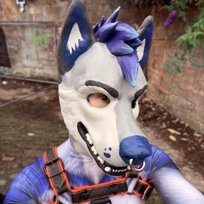 Ninji@wuffs.org